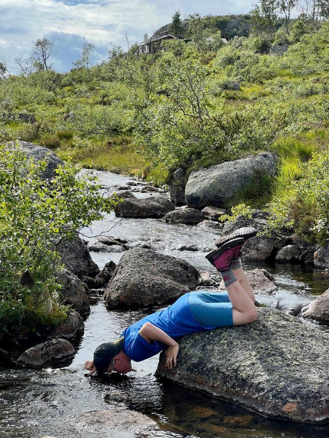 Flott Leilighet Pa Haugen I Sirdal Tjorhom Kültér fotó