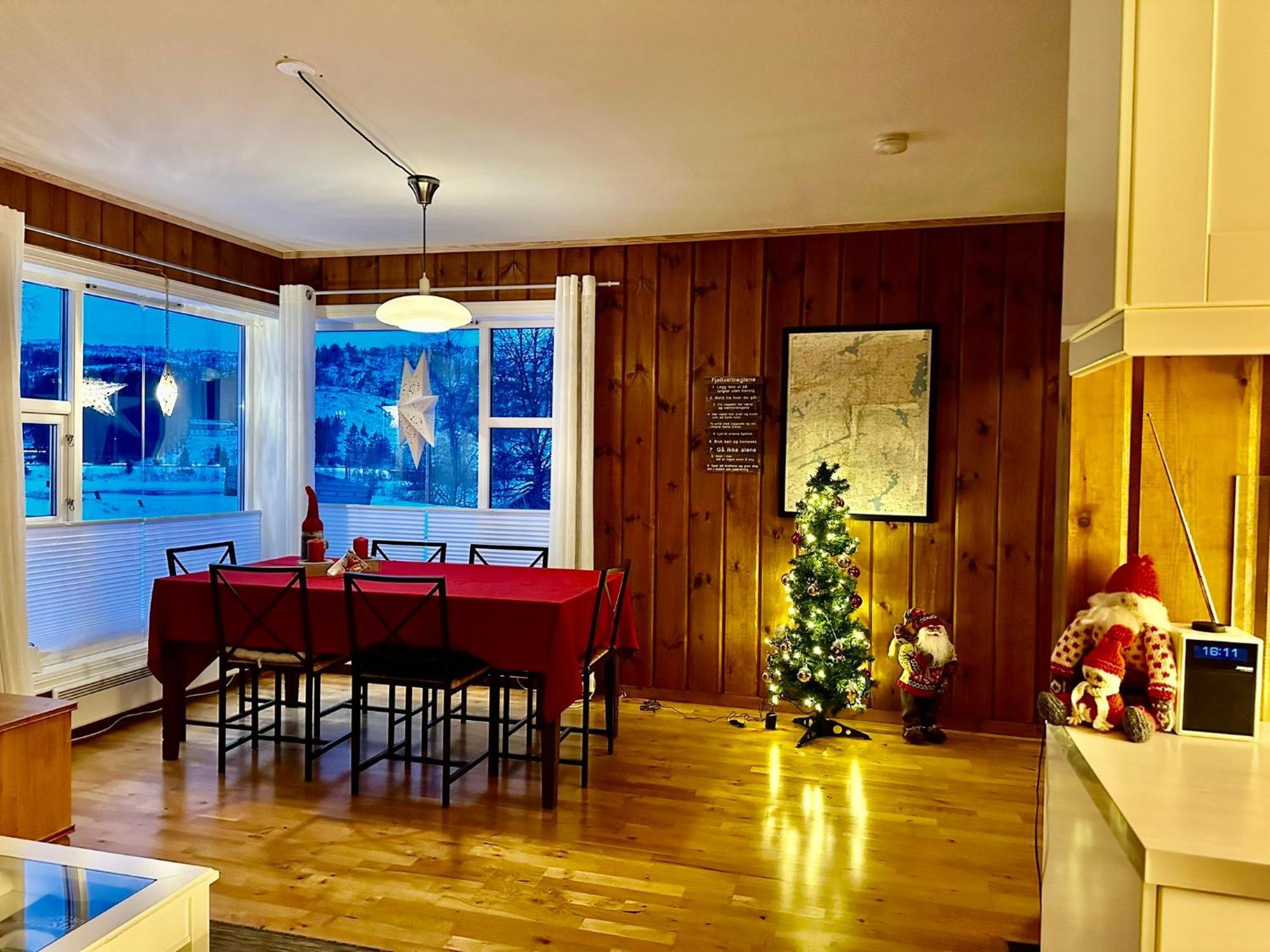 Flott Leilighet Pa Haugen I Sirdal Tjorhom Kültér fotó